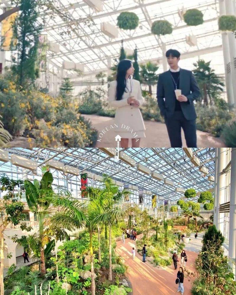 Instagram.com/kdramalocation